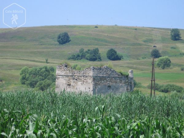 Cetatea Apața