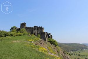 Cetatea Șoimoș