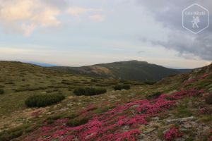 Vârful Iezerul Călimanilor (2031 m)
