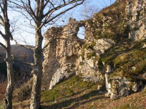 Cetatea Piatra Șoimului