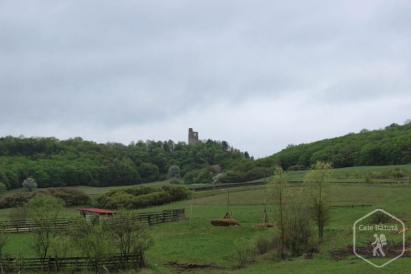 Cetatea Almașului