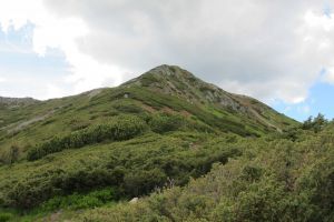 Vârful Negoiul Unguresc (2081 m)