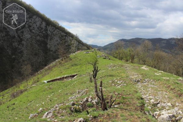 Cetățuia dacică de la Ardeu