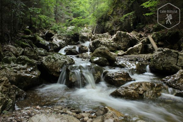 Cheile Lapoșului