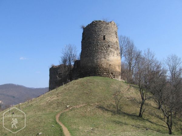 Cetatea Bologa