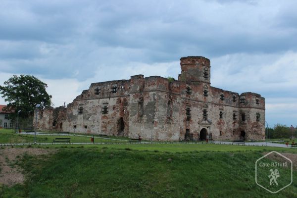 Castelul Lonyai din Medieșul Aurit