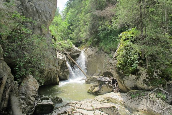 Cascada Duruitoarea din Munții Hășmaș
