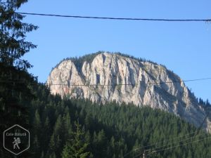 Vârful Suhardu Mic (1506 m)