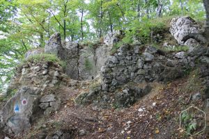 Cetatea Neagră din Măgura Codlei