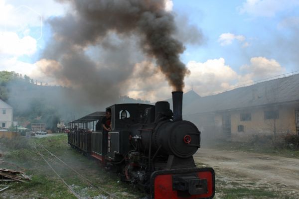 Mocănița Abrud - Câmpeni