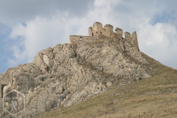 Cetatea Colțești (Cetatea Trascăului)