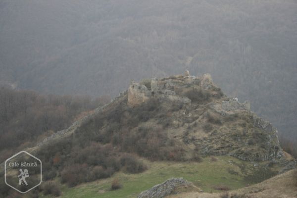 Cetatea Liteni